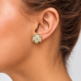 ARETES LV FLOR