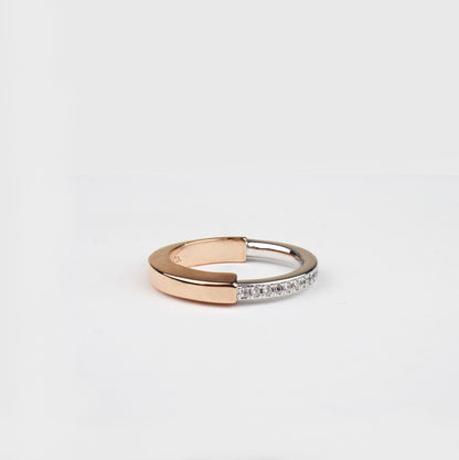 Anillo Tipo L T 2