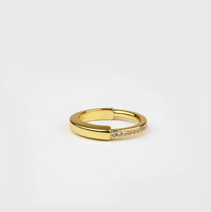 Anillo Tipo L T