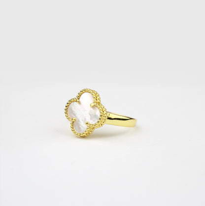 Anillo Tipo V Cl 6
